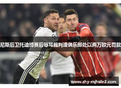 尼斯后卫托迪博赛后辱骂裁判遭俱乐部处以两万欧元罚款