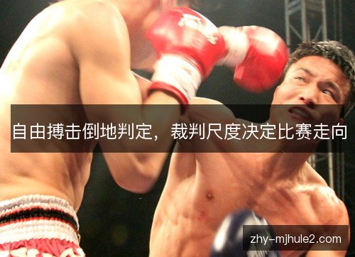 自由搏击倒地判定,裁判尺度决定比赛走向 自由搏击倒地判定,裁判尺度决定比赛走向